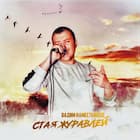 Стая журавлей