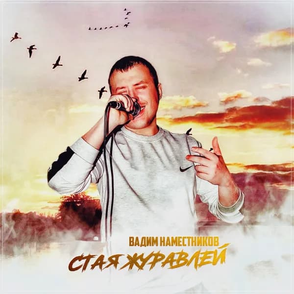 Стая журавлей image