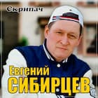 Скрипач