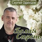 Белая сирень