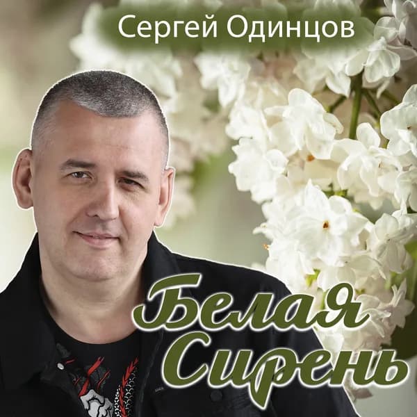 Белая сирень image