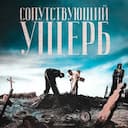 Сопутствующий ущерб