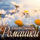 Ромашки