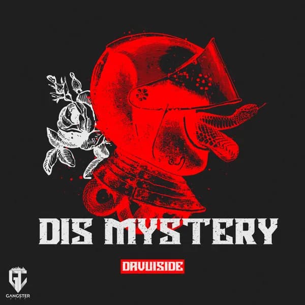 DIS MYSTERY image