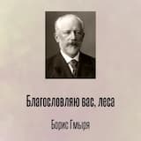 Благословляю вас, леса