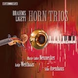 Trio in E-flat major, op. 40: I. Andante