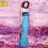 Violin Concerto in E minor, op. 64, MWV O14: I. Allegro molto appassionato