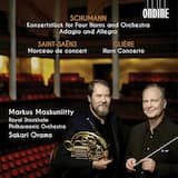 Konzertstück für 4 Hörner und Orchester, op. 86: II. Romanze –