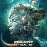 Otherside (Ascent remix)