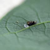 im standing in the rain but i cant feel any of the water on my skin it passes right through me