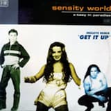 Get It Up (Rave mix From Germany)