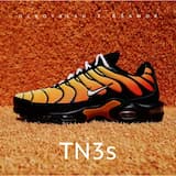 TN3s