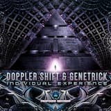 Individual Experience