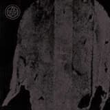 The Gracious Fall of the Morning Light