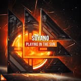 Playing in the Sun (extended mix)