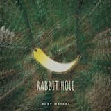 Rabbit Hole