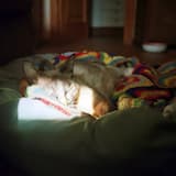 Allá donde estás, estoy