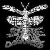 We Shine in the Darkness