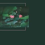 Бесполезные вещи