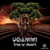 Tree Of Desert