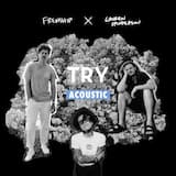 Try (acoustic)