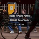 Kisses (Malugi extended remix)