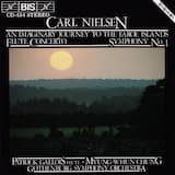 Concerto for Flute and Orchestra: II. Allegretto - Adagio ma non troppo - Allegretto - Tempo di marcia