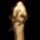 Penetrations of Darkness