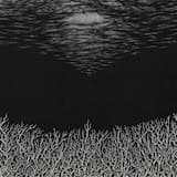 The Slow Dying of the Great Barrier Reef