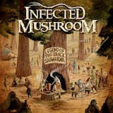 Riders on the Storm (Infected Mushroom remix)