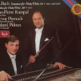 Sonata for Flute and Harpsichord in B minor, BWV 1030: I. Andante