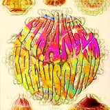 Starshine (แสงดาว)