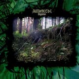 Ведьмин круг в долине мхов