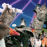 Mannequin de magasin