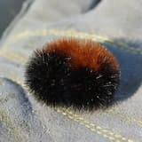 like dreaming and remembering warm all night until i puke awake