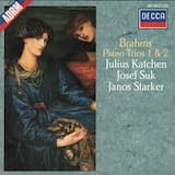 Trio for Piano, Violin, and Cello no. 1 in B major, op. 8: I. Allegro con brio