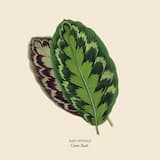 The Last Time (K-Lone 2-Step mix)