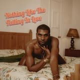 Nothing Like The Falling In Love