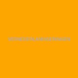 Tis de Nootkeet prestatie. NUMP (bonus baan)