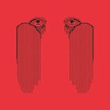 Wholehearted Mess - Pink Skull Remix