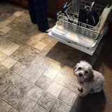 It Might Not Be My Favorite Game, But I Sure Play “Lets Get Drunk And Go On The Internet” A Lot