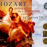 Quintet for Clarinet, 2 Violins, Viola & Cello in A major, K. 581 "Stadler Quintet": II. Larghetto