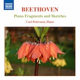 Allegretto Sketches, Bia. 99: No. 5, —