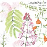 Return to Suburban Lights