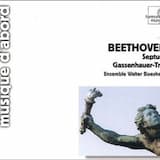 Septet for strings & woodwinds in E flat major, Op. 20: 4. Thema con variazioni. Andante