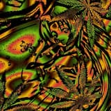 The Meaning Of All Things Considered