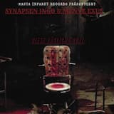 Wenn die Mörder zu dir komm (RMX)