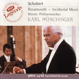 Rosamunde, Fürstin von Zypern, D. 797: I. Entr'acte following Act I