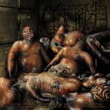 Anointing the Mortuary Floors: Unimaginably Fetid Fluids Infiltrate Every Conceivable Crevice, an Effervescent Swamp of Decomposition Steeping Under Clandestine Negligence I