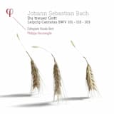 Nimm von uns, Herr, du treuer Gott, BWV 101: Coro: Nimm von uns, Herr, du treuer Gott